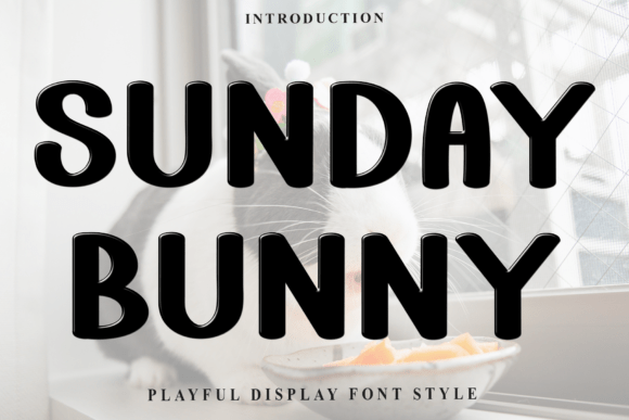Sunday Bunny: The Perfect Display Typeface for Modern Web Design